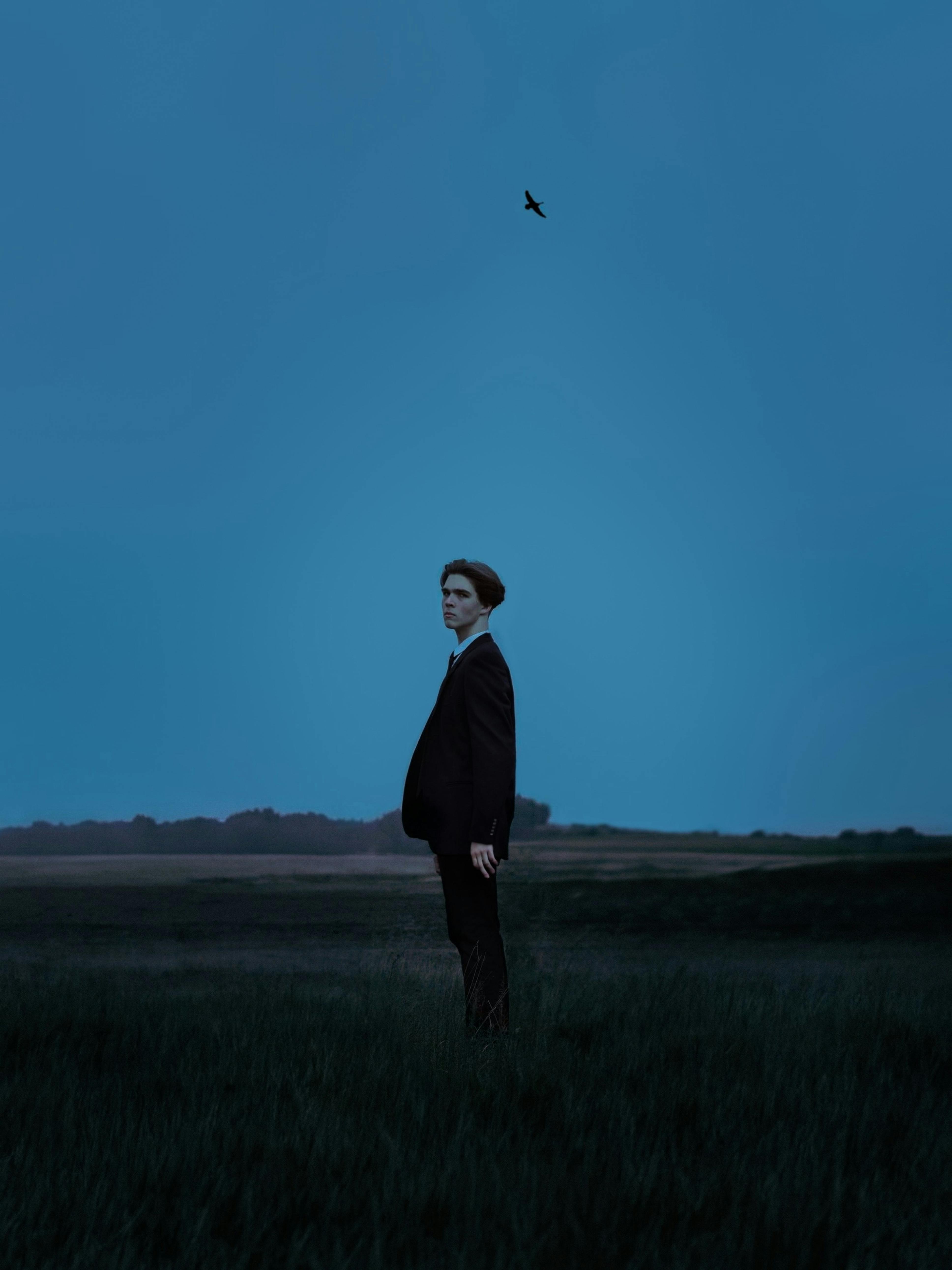 A man in a suit stands in a rural field under a twilight sky, with a bird flying overhead.