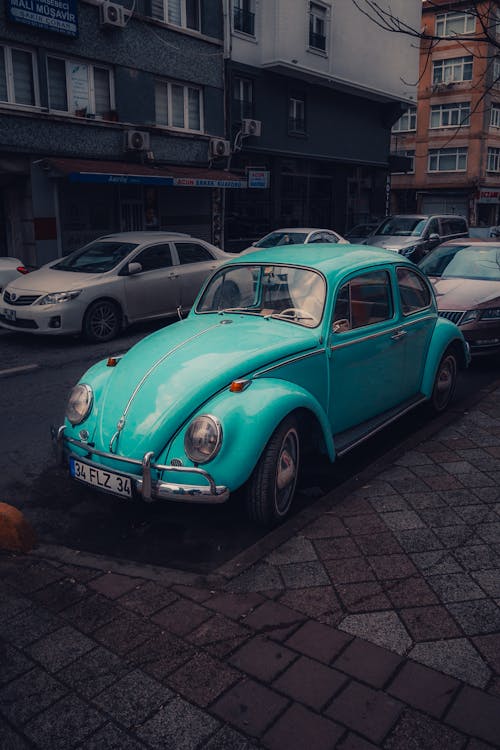 Fotobanka s bezplatnými fotkami na tému auto, chrobák, mesta