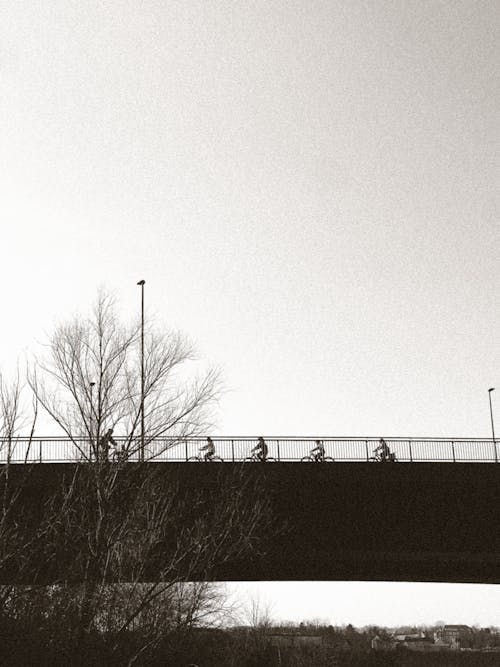 サイクリング, ブリッジ, 垂直ショットの無料の写真素材