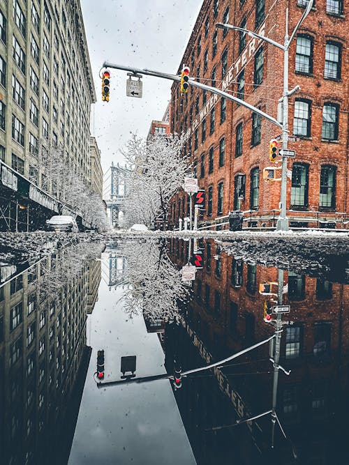 Gratis arkivbilde med amerika, brooklyn, brooklyn bridge