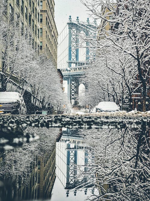 Free stock photo of america, brooklyn, brooklyn bridge