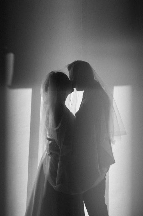 Kissing Newlyweds under Veil
