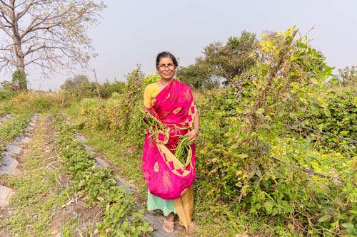 Farmers in India