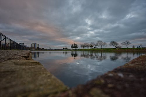 Gratis stockfoto met bomen, h2o, hemel