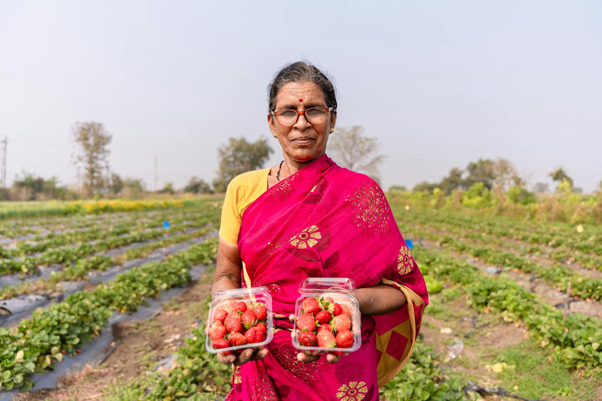 Farmers in India