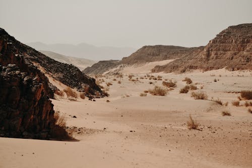 Foto profissional grátis de ao ar livre, areia, árido