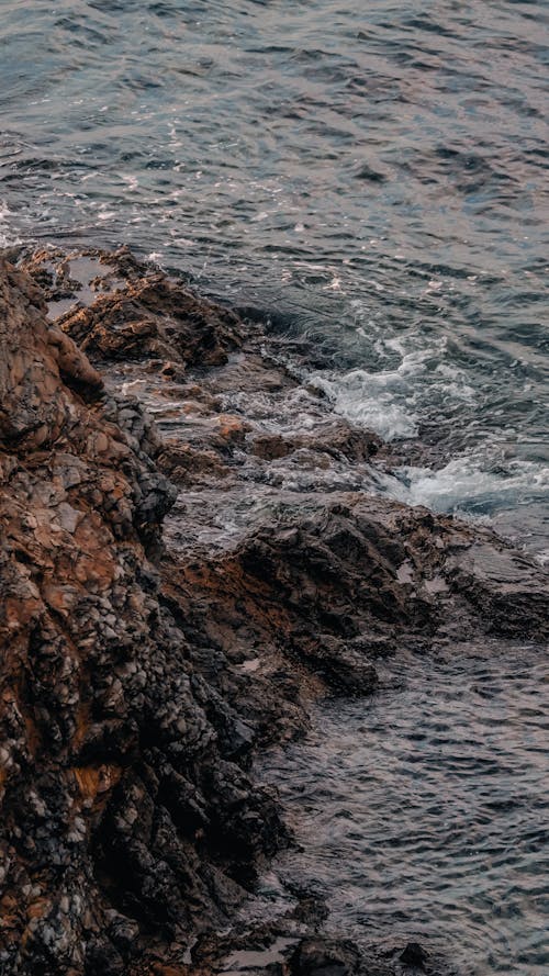 垂直拍摄, 岩石, 海 的 免费素材图片