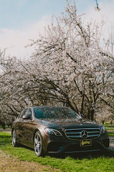 Mercedes parked amidst blooming cherry blossoms, showcasing luxury and nature.