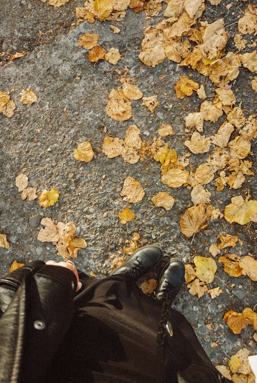 A person standing on the ground with leaves on the ground
