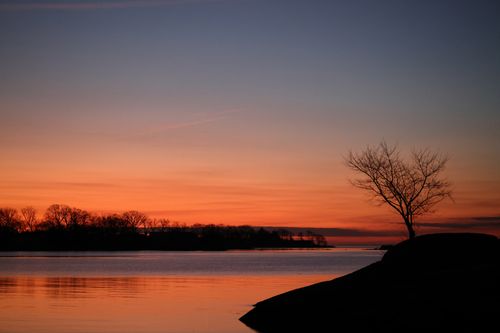Free Serene sunset view over Stamford coastline with silhouetted trees reflecting in calm waters. Stock Photo