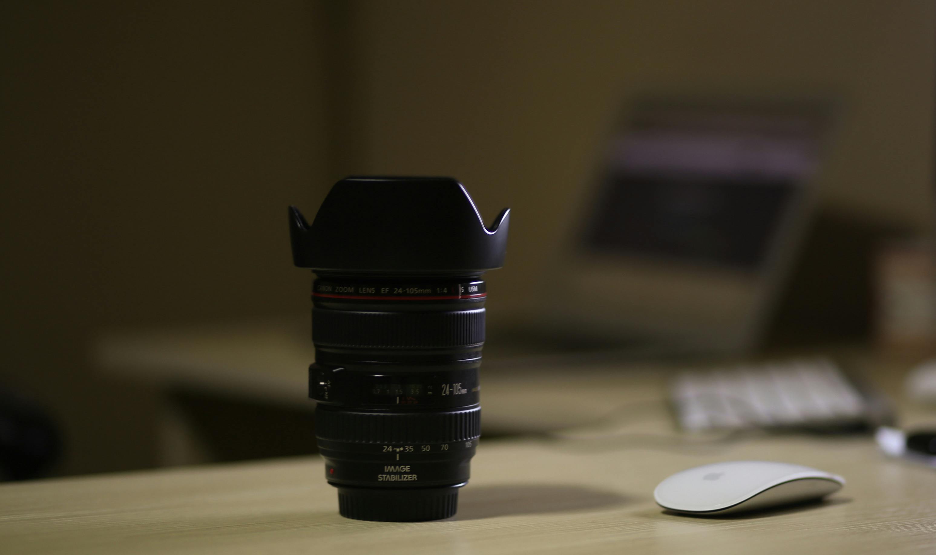 UF adds Western canon-focused courses to general education — Photo by Oluwaseun Duncan on Pexels