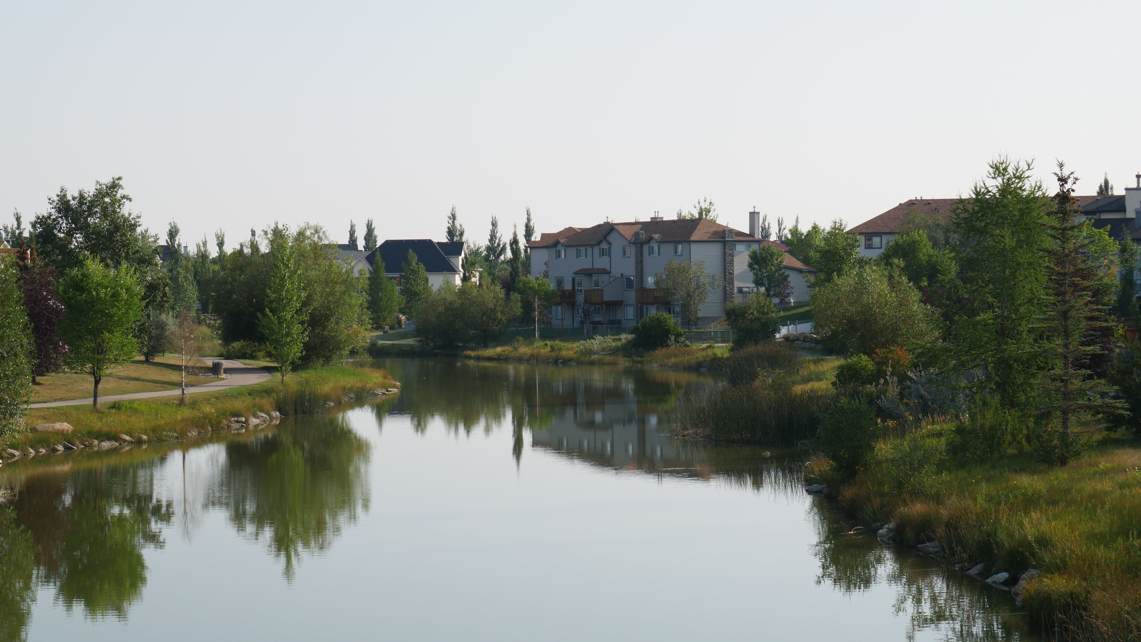 River in Town · Free Stock Photo