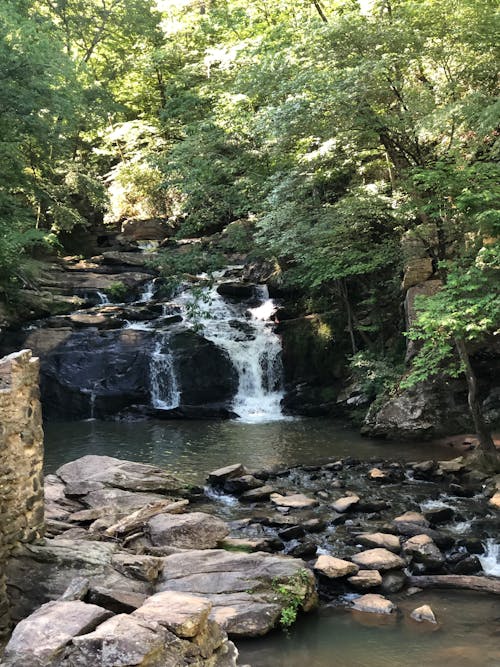 Foto d'estoc gratuïta de bosc, cascada, corrent