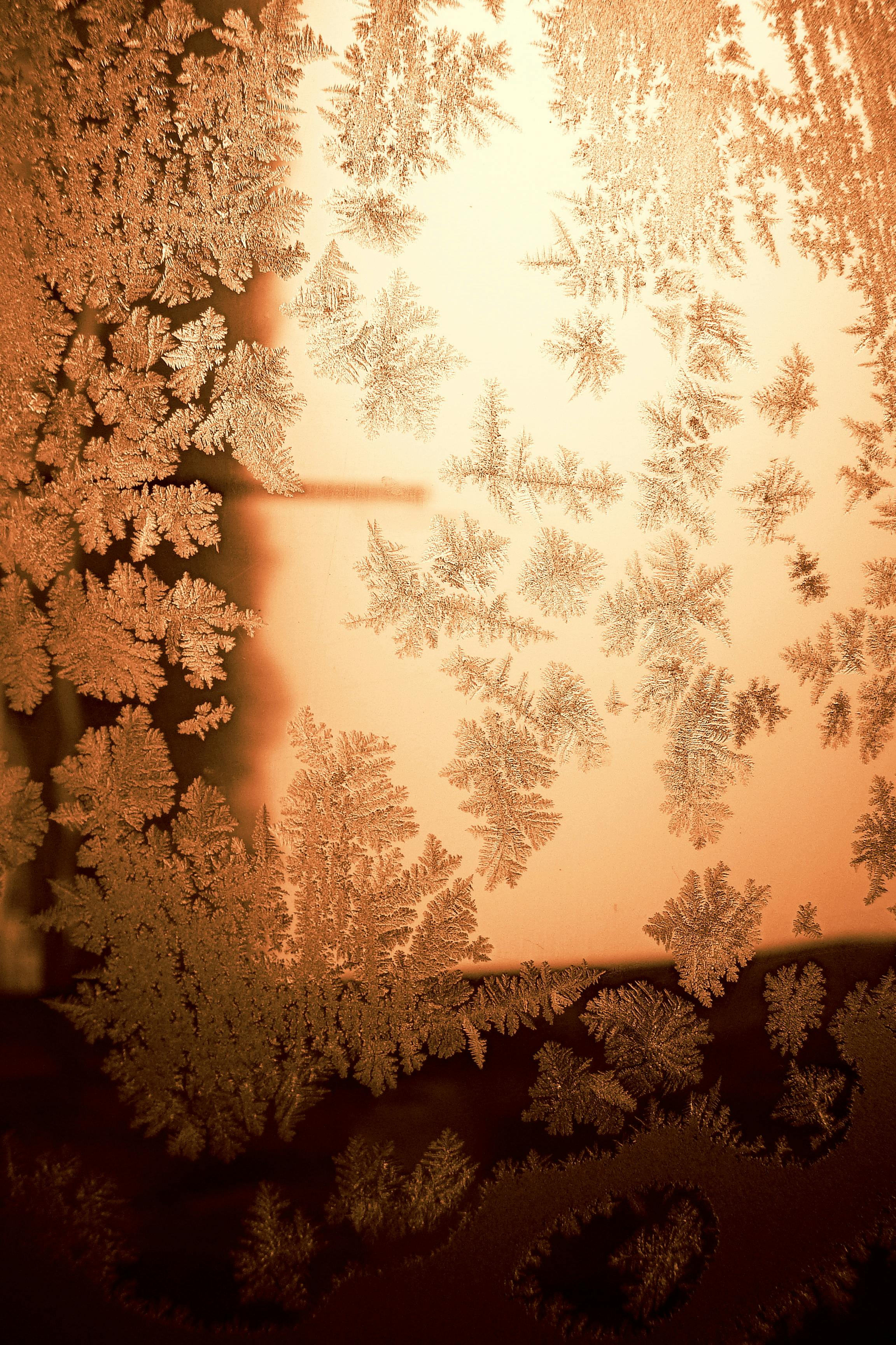 Elegant frost formations captured on a window with warm tones.