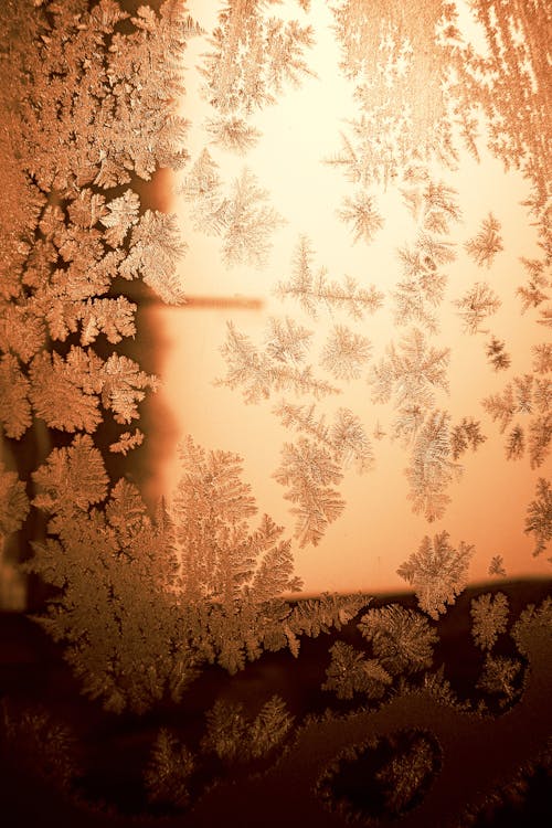 Frosted glass with snowflakes on it