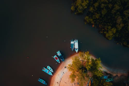 Kostenloses Stock Foto zu aufsicht, bäume, boote