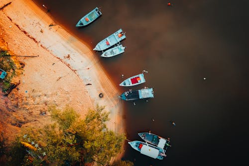 Aerial view of boats on the shore of a river