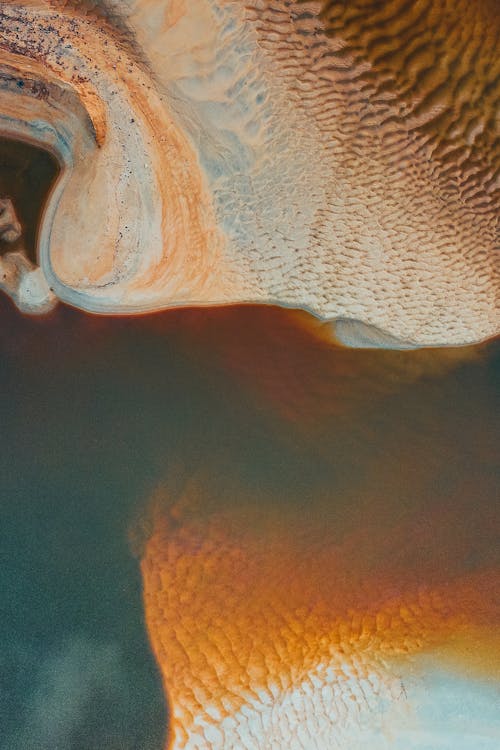 Darmowe zdjęcie z galerii z abstrakcyjny, bezkręgowiec, kolor