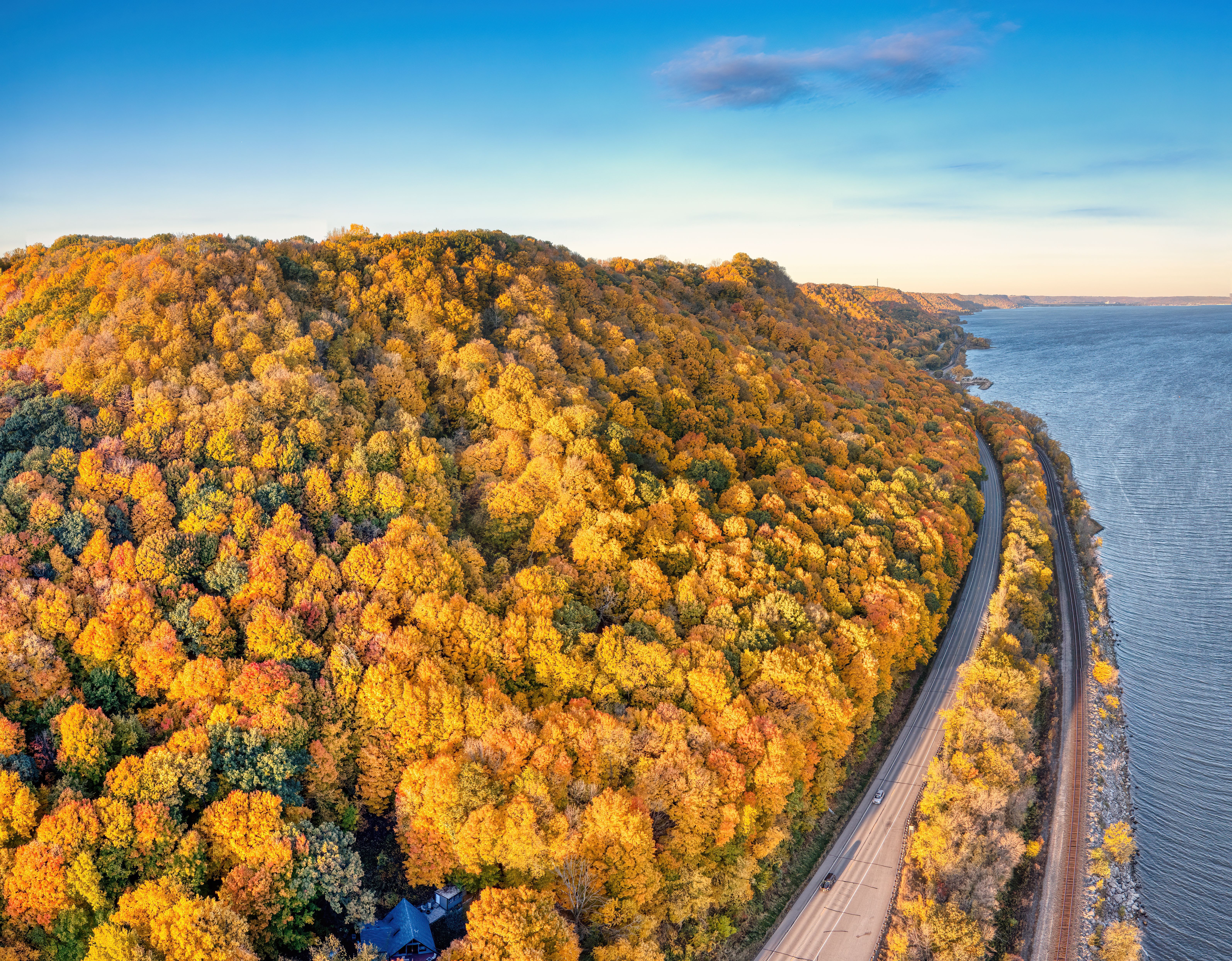 Autumn foliage on the shore of the lake · Free Stock Photo