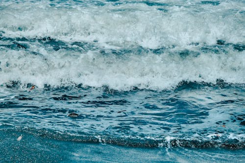 Бесплатное стоковое фото с берег, вода, волны