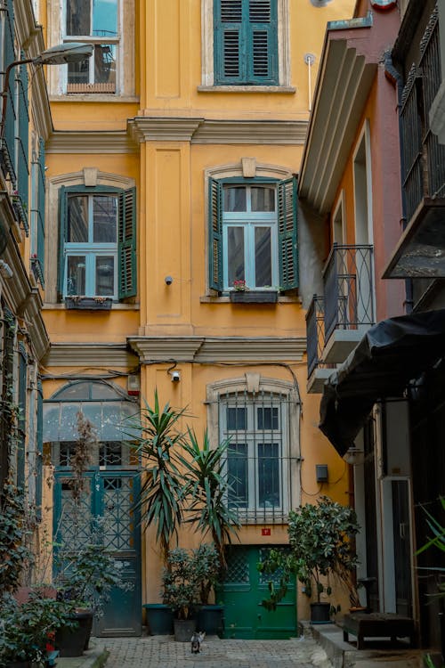 Gratis stockfoto met gebouw, geel, Istanbul
