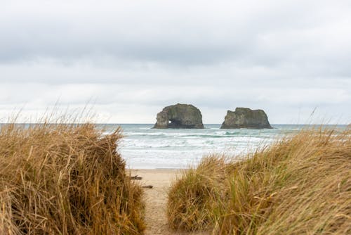 Foto d'estoc gratuïta de apilar pedres, arc natural, herba