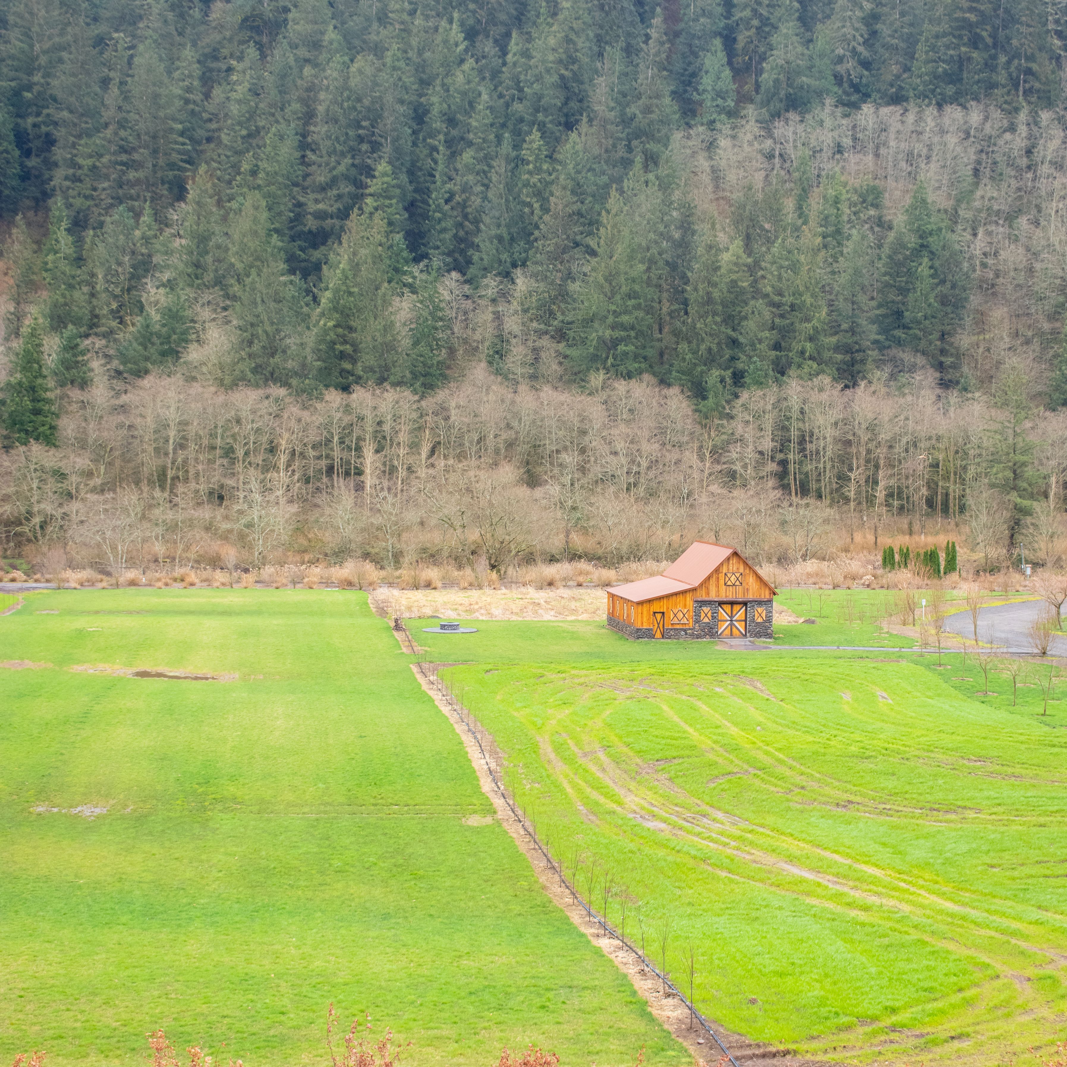 深呼吸一口好空氣 🌲 #自然 #nature