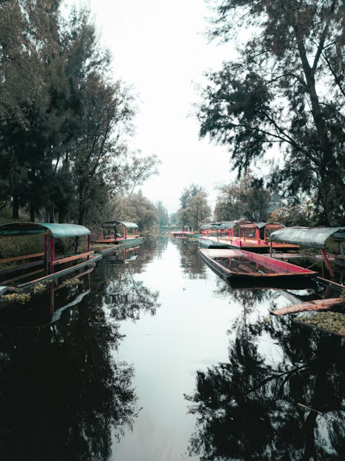 A canal with boats on it and trees