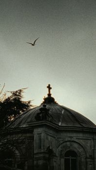A peaceful view of a church dome with a cross under twilight skies and a bird flying above.