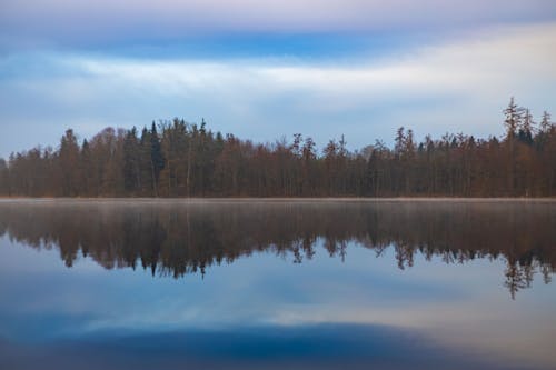 Spiegelung In Der Natur