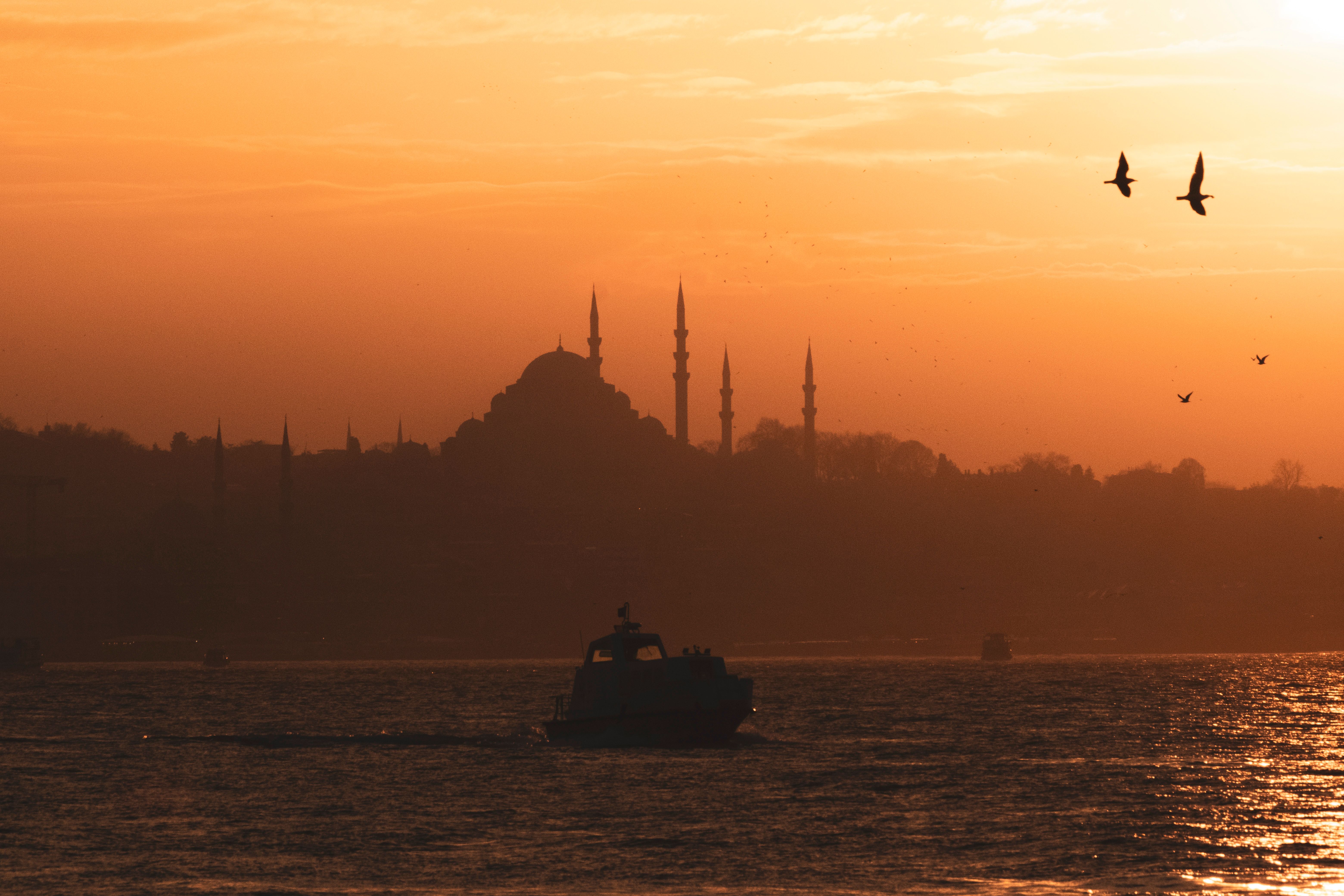 Sunset silhouette