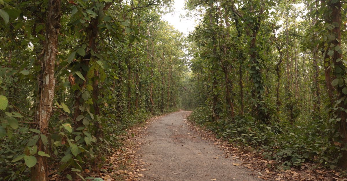 Exploring Bihar's Green Heart: A Guide to Biodiversity Trails in Patna and North Bihar