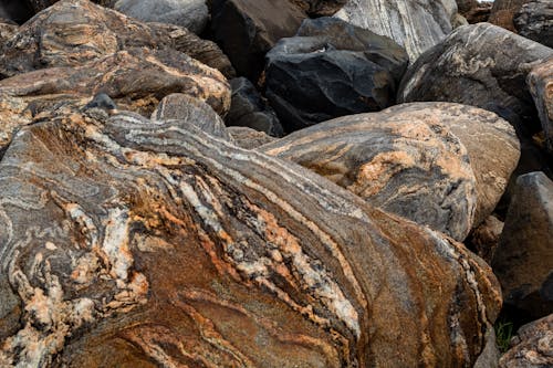 岩石, 海灘 的 免費圖庫相片