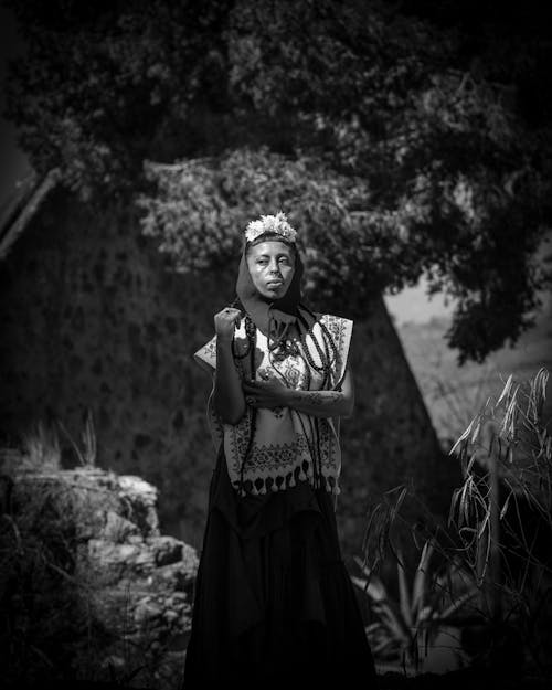 Immagine gratuita di bianco e nero, donna, foresta