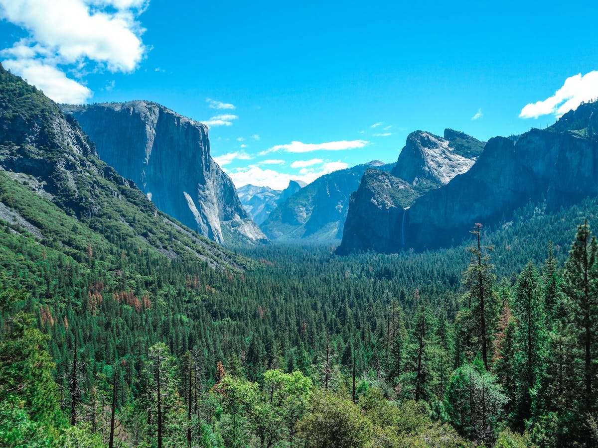 Foggy street with vintage lampposts, evoking the mood of Peaky Blinders