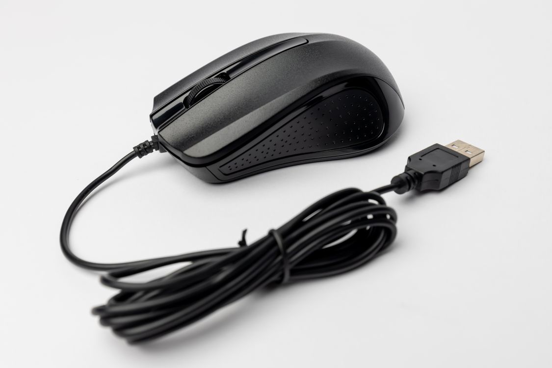 Mouse in a Studio · Free Stock Photo