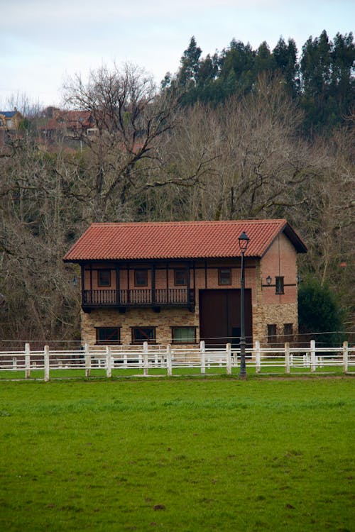 A horse standing in a field next to a house