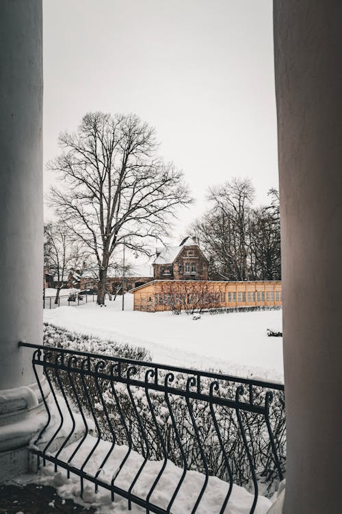 Gratis lagerfoto af forkølelse, gelænder, have