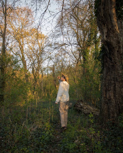 Jovan Vasiljević wandering in the middle of lush woods