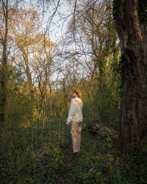 Free A man in a hat walks through a sunlit forest in Vojvodina during fall. Stock Photo