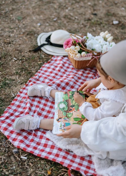 Free A young child reads a book during a picnic on a checkered blanket, surrounded by flowers. Stock Photo