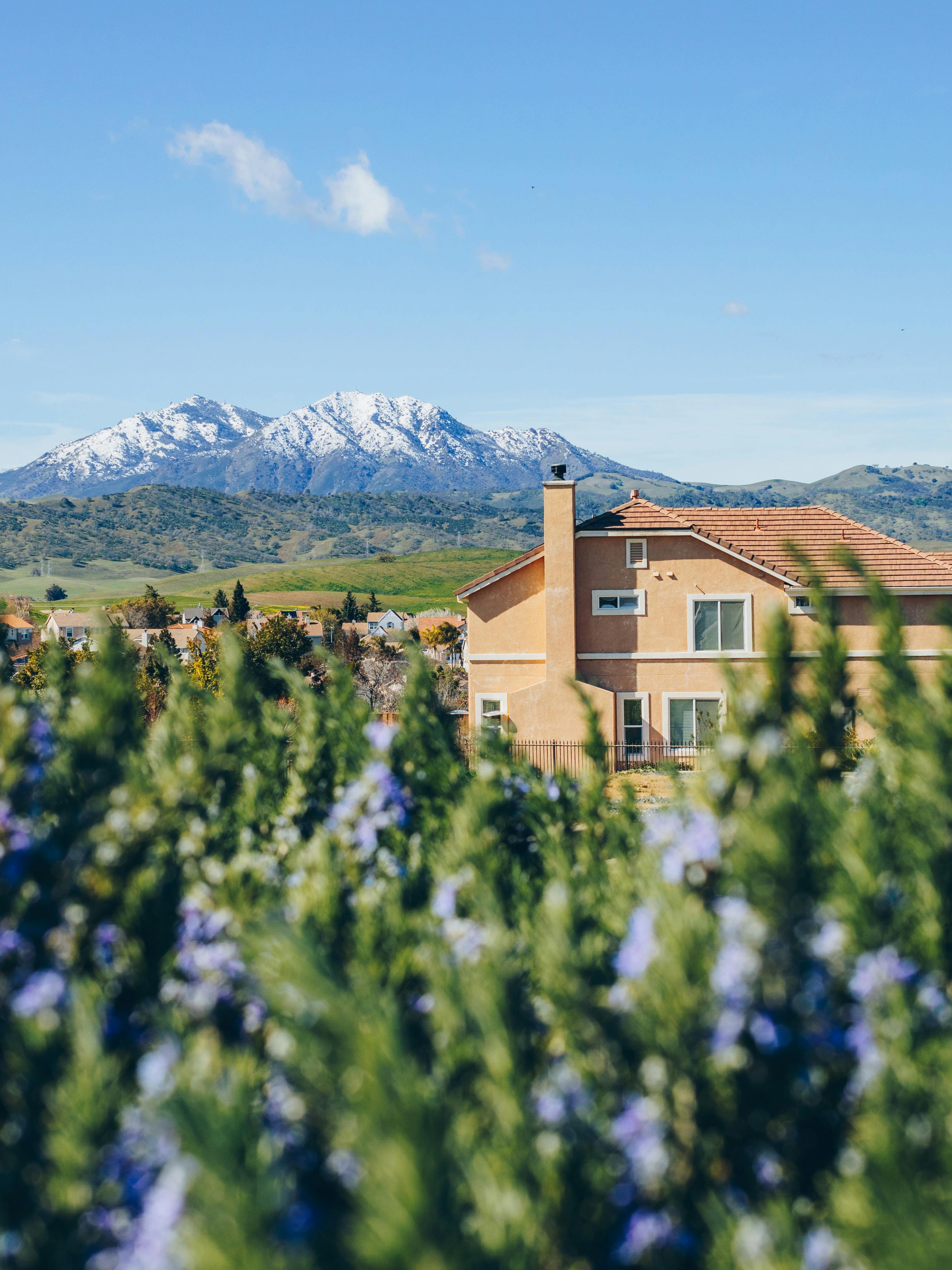 A picturesque house surrounded by lavender fields with snow-capped mountains in the background.