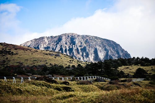 Foto profissional grátis de árvores, cerca, colina