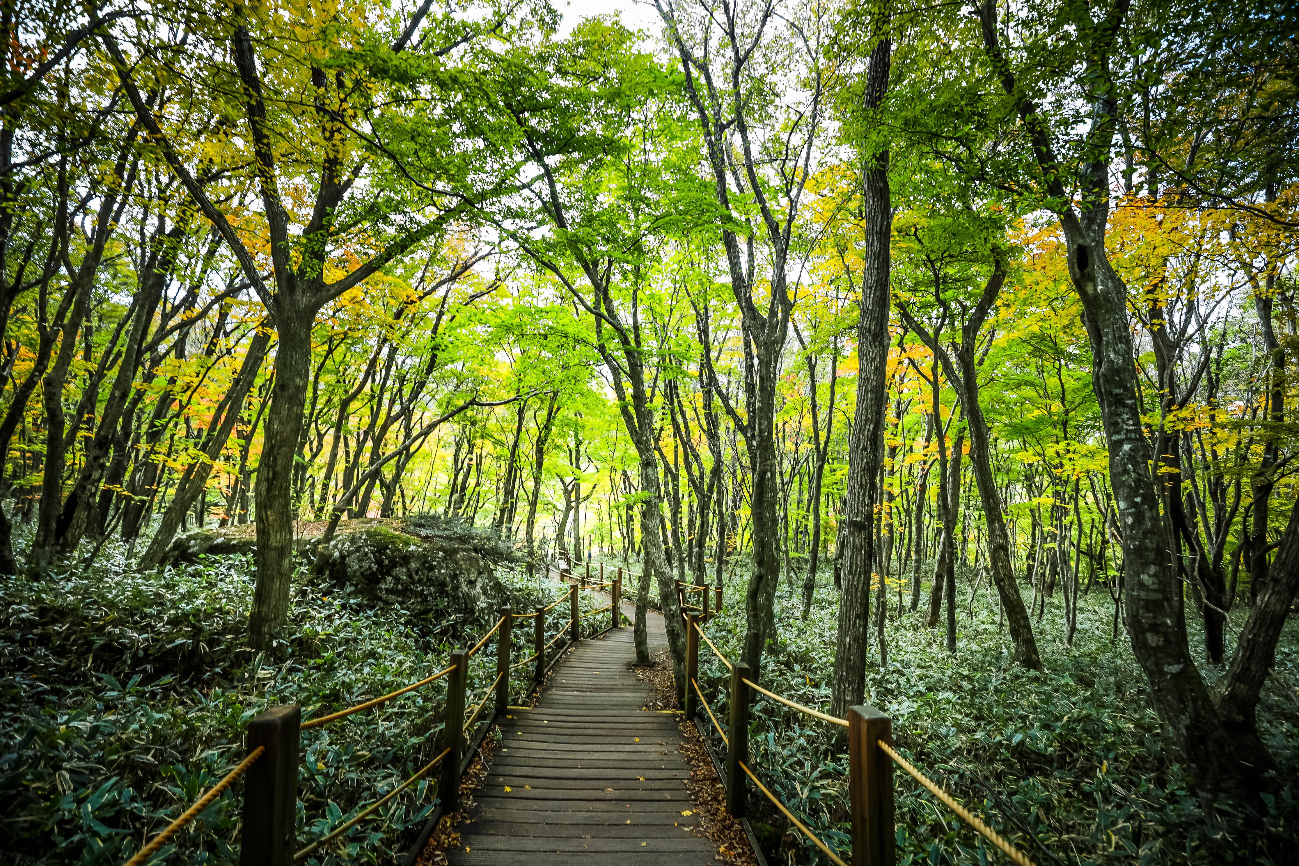인왕산 등산코스 주차