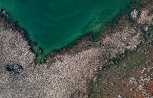 Foto d'estoc gratuïta de fang, foto des d'un dron, fotografia aèria