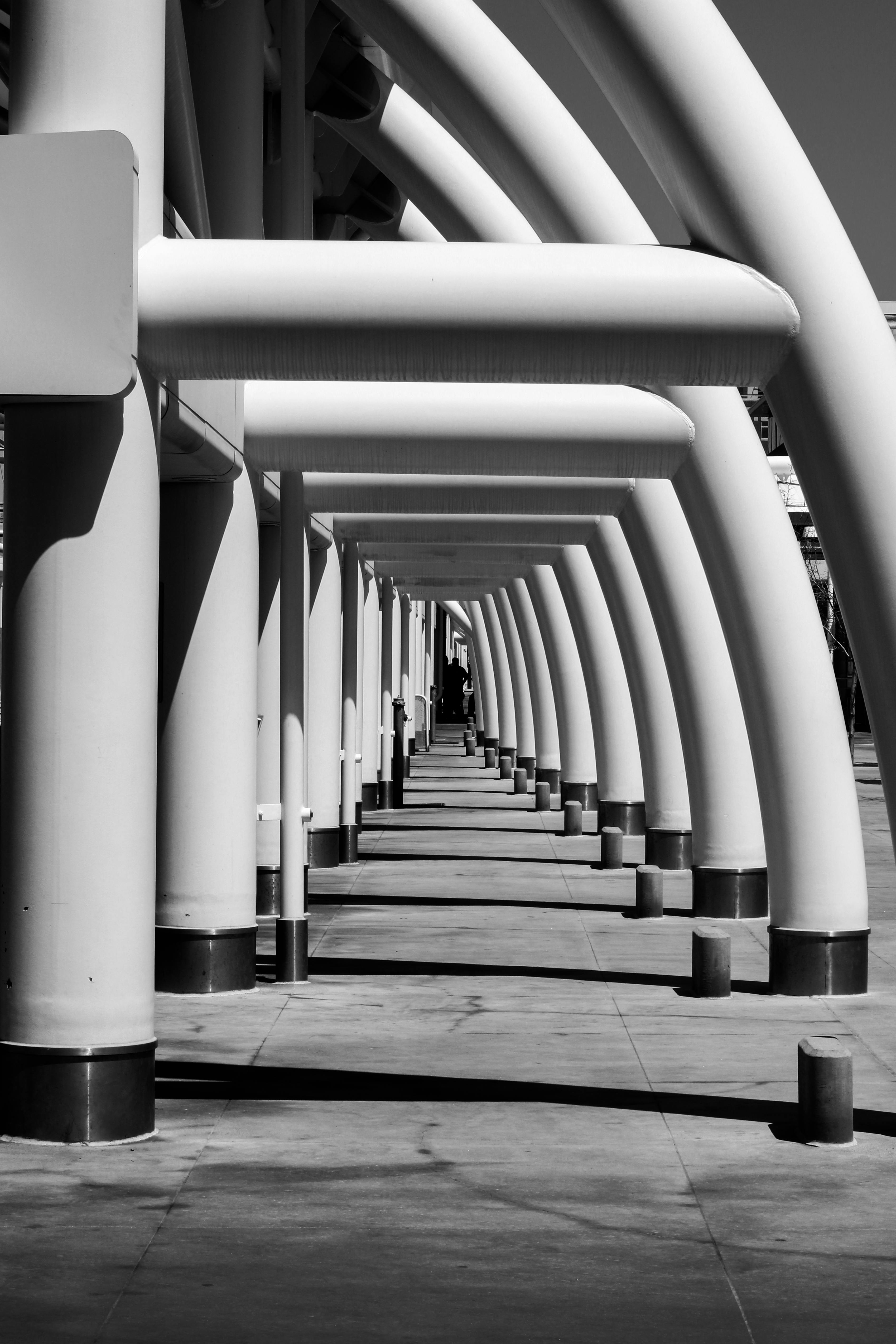 tunnel among columns in black and white