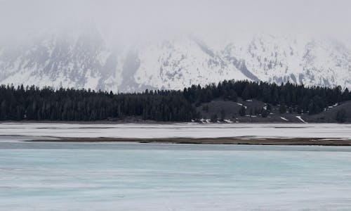 Fotos de stock gratuitas de grand teton, lago azul, Lago congelado