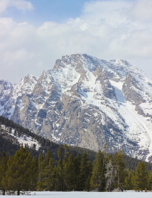 Rocky Mountains Covered with Snow 