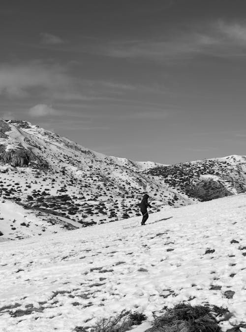 A person walking on a snowy hill with a dog