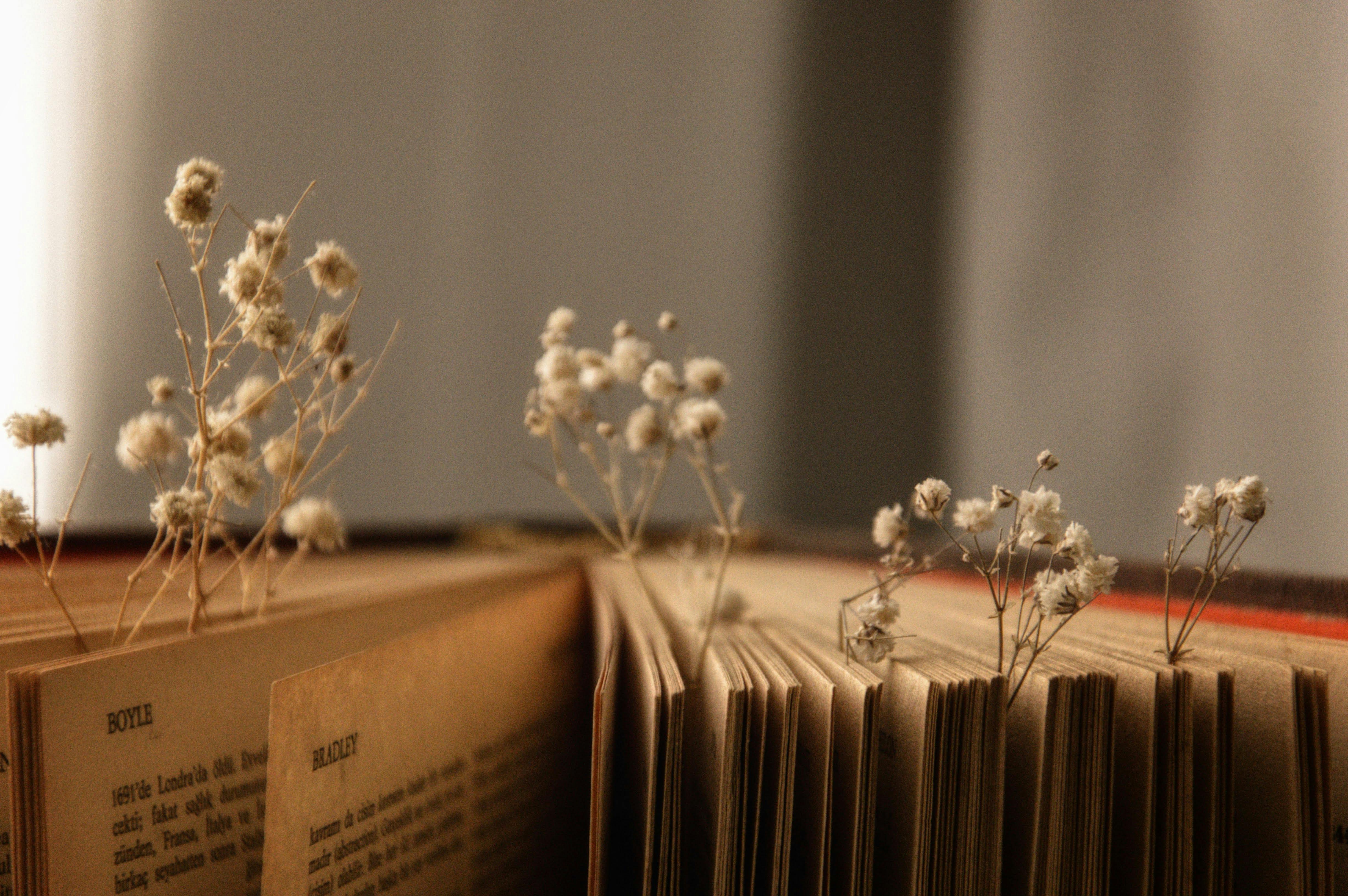 A charming still life of a vintage book adorned with delicate dried flowers.